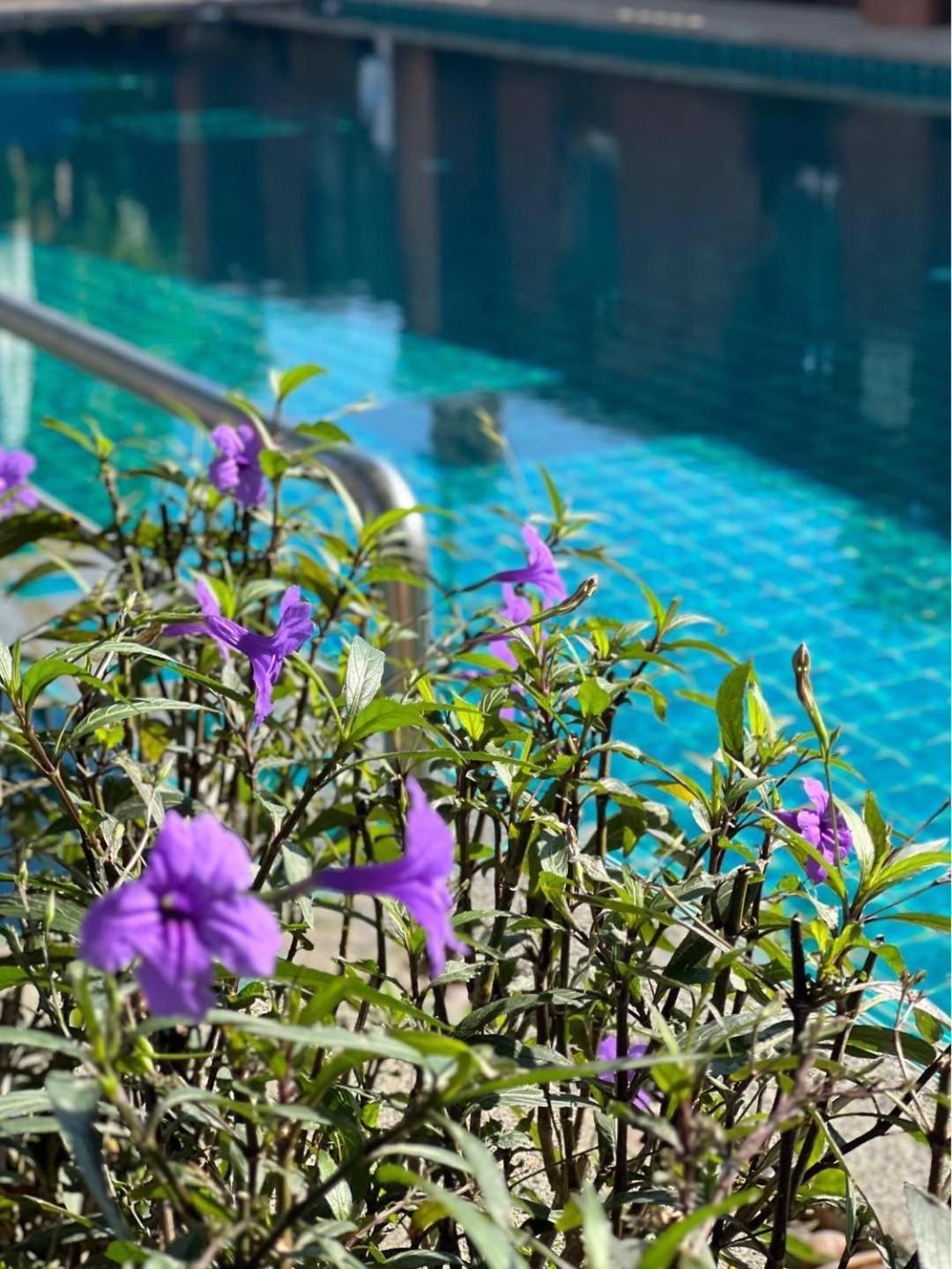 Pattara Mansion พัทยา Hotel Pattaya Ngoại thất bức ảnh